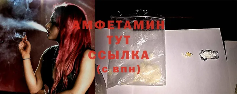 где найти наркотики  Елизово  Amphetamine VHQ 